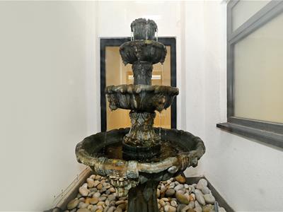 Picture 17